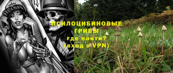 a pvp Дмитриев