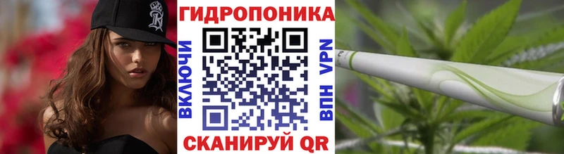 наркошоп  Пикалёво  МАРИХУАНА ГИДРОПОН 